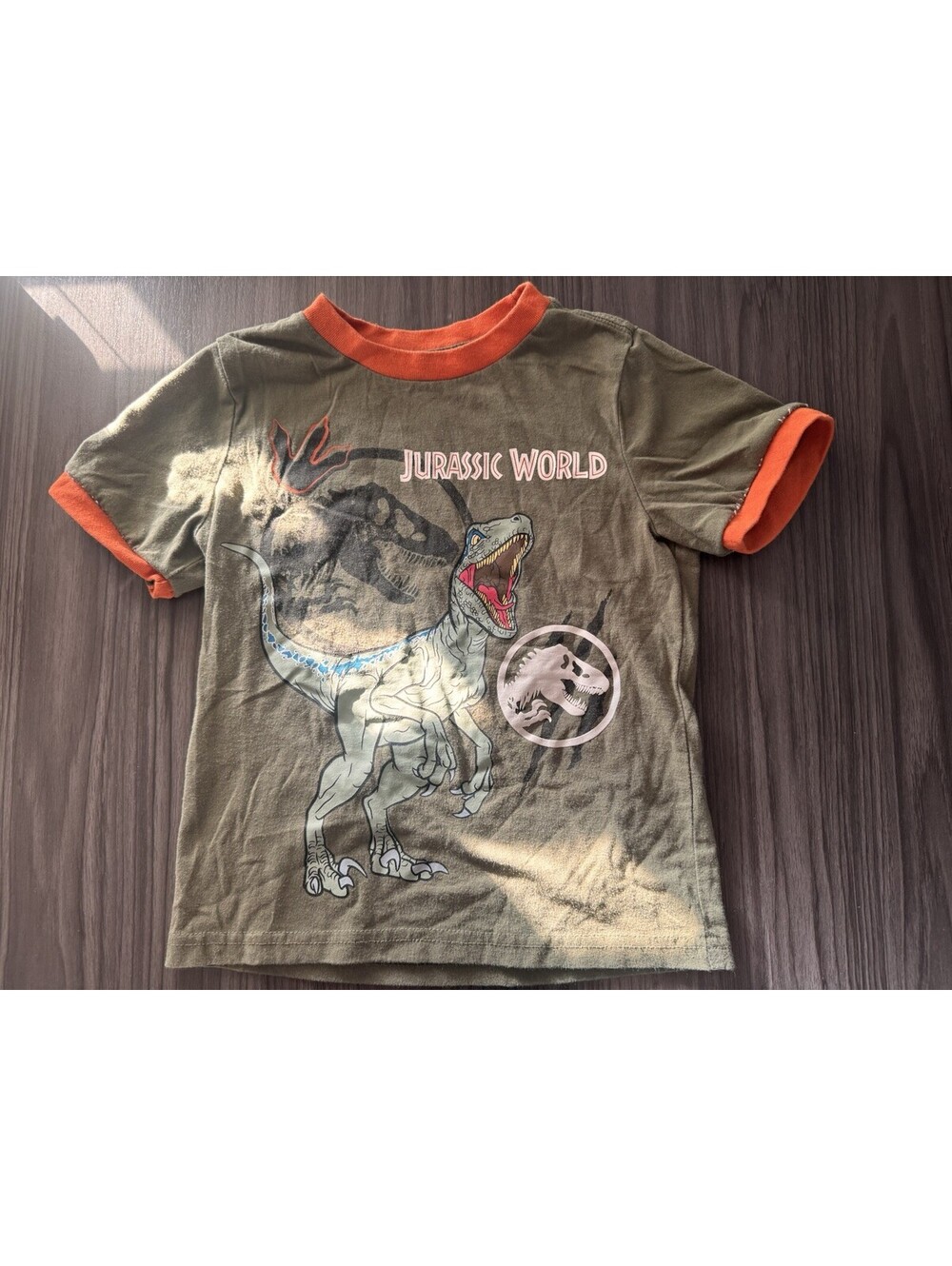 Jurassic Park Tshirt Kids